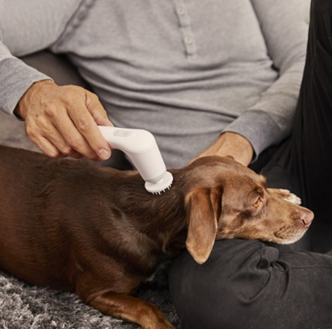 NOVAFON-TERAPIA-VIBRACION-LOCAL-CANINA