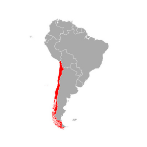 ENVÍOS/ Biotecnología Investigación y Servicios Veterinarios Ltda