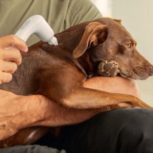 NOVAFON-EQUIPO-PARA-TERAPIA-VIBRATORIA-LOCAL